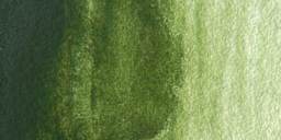 M. Graham Artists' Watercolor - Sap Green Permanent swatch