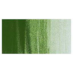 Blockx Artists' Watercolor - Hooker's Green swatch