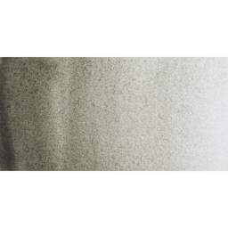 Rembrandt Artists' Watercolor - Davy's Grey swatch
