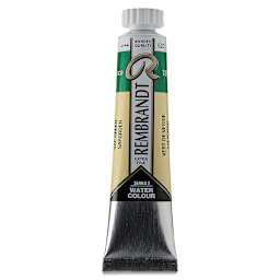 Rembrandt Artist Watercolors - Sap Green, 20 ml tube