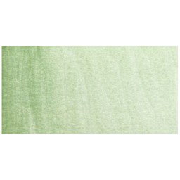 Rembrandt Artists' Watercolor - Green Earth swatch