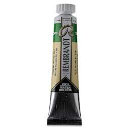 Rembrandt Artist Watercolors - Hookers Green Light, 20 ml tube