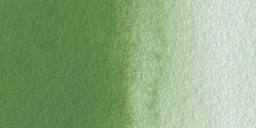 Rembrandt Artists' Watercolor - Chromium Oxide Green swatch