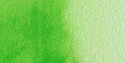 Rembrandt Artists' Watercolor - Permanent Yellow Green swatch