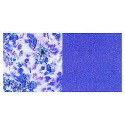 Brusho Crystal Colour  - Violet swatch