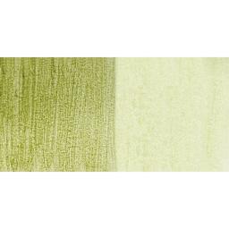 Utrecht Artists' Watercolor Paint  - Terre Verte swatch