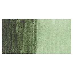 Utrecht Artists' Watercolor Paint  - Permanent Sap Green swatch