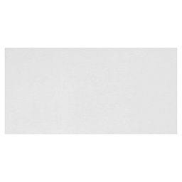 Daniel Smith Extra Fine Watercolor  - Chinese White swatch