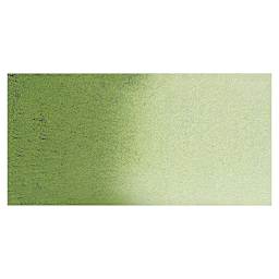 Daniel Smith Extra Fine Watercolor  - Undersea Green swatch