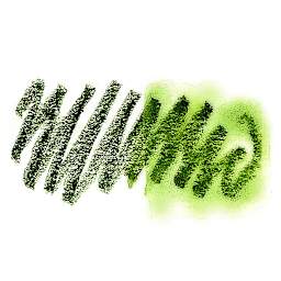 Daniel Smith Watercolor Stick - Sap Green swatch