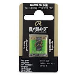 Rembrandt Watercolor Half Pan - Sap Green