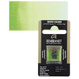 Rembrandt Watercolor Half Pan - Sap Green pan and swatch