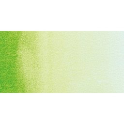 Rembrandt Watercolor Half Pan - Sap Green swatch