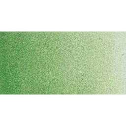 Rembrandt Watercolor Half Pan - Chromium Oxide Green swatch