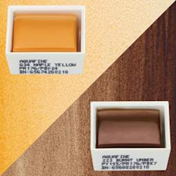 Daler-Rowney Aquafine Watercolors - Set of 2, Naples Yellow and Burnt Umber, Half Pans and swatches