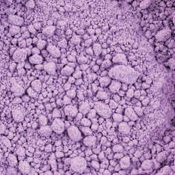 Three Little Twigs Tempera Powder Paint - Purple (Close-up of pigment powder)