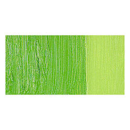 Pebeo XL Studio Oil Paint - English Light Green swatch