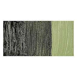 Royal Talens Cobra Water Mixable Oil Paint - Olive Green swatch