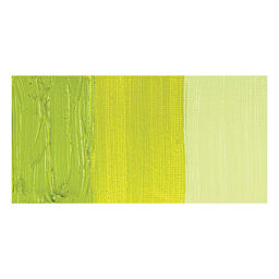 Royal Talens Cobra Study Water Mixable Oil Paint - Yellowish Green swatch