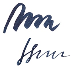 Ferris Wheel Press Fountain Pen Ink - Stroke of Midnight, swatch