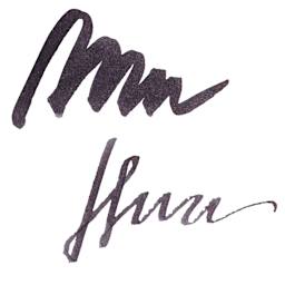 Ferris Wheel Press Fountain Pen Ink - Bearrington Black, 38 ml, swatch