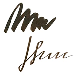 Ferris Wheel Press Fountain Pen Ink - Land of Shangri-la, swatch