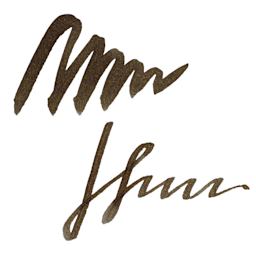 Ferris Wheel Press Ferritales Fountain Pen Ink - Curious Woods, swatch