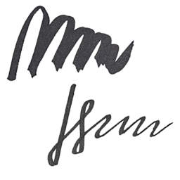 Tom's Studio Fountain Pen Ink - Pigment Black, swatch