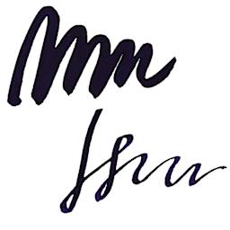 Tom's Studio Fountain Pen Ink - Juniper, swatch