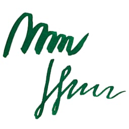 Endless Alchemy Fountain Pen Ink - Mystic Forest, swatch