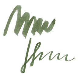 Colorverse Korea Special Fountain Pen Ink - 58 Do-dong Forest, swatch