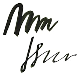 Noodler's Ink Fountain Pen Ink - Zhivago, swatch