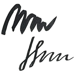 Noodler's Ink Fountain Pen Ink - Brevity Black, swatch