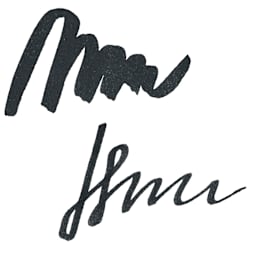 Noodler's Ink Fountain Pen Ink - Dark Matter, swatch