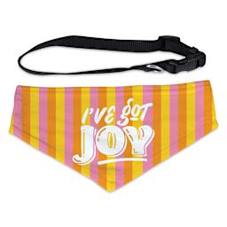 Craft Express Sublimation Printing Pet Product - Pet Scarf with Collar, Small, Pkg of 2 (finished pet scarf and collar)