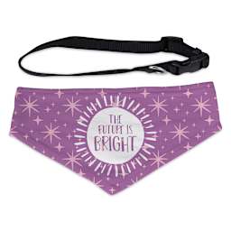 Craft Express Sublimation Printing Pet Product - Pet Scarf with Collar, Medium, Pkg of 2 (finished pet scarf and collar)