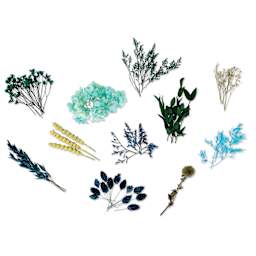Colorberry Dried Flower Collection Resin Additives - Blue and Green, example of included flowers