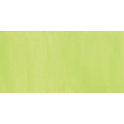 Jacquard Neopaque Acrylic Paint - Volt (Sneaker Series) swatch