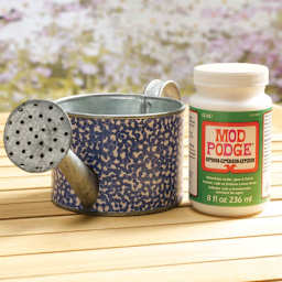 Metal watering can next to a jar or Mod Podge Outdoor