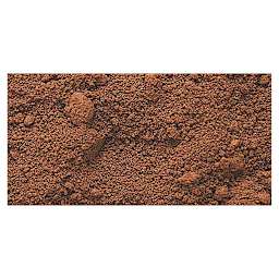 Gamblin Artist's Grade Pigment - Burnt Umber swatch