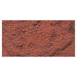 Gamblin Artist's Grade Pigment - Transparent Earth Red swatch