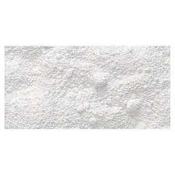 Gamblin Artist's Grade Pigment - Zinc White Oxide swatch
