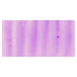 Pebeo Vitrail Paint - Parma swatch