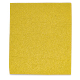 Masterson Sta-Wet Handy Palette - Sponge Refill, Single sponge outside of the packaing upward