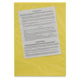 Masterson Sponge Insert Pack - 12" x 16", Pkg of 3 - back of packaging