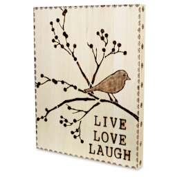 Walnut Hollow Creative Woodburner Value Pen - Finished Woodburning art of Bird shown on panel