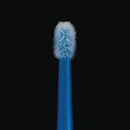 Testors Micro Sponge Brushes - Closeup of Tip of Brush
