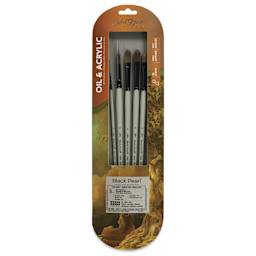 Silver Brush Black Pearl Synthetic Brushes - Series BP-6406, Basic Variety, Set of 5, front of packaging