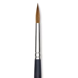 Blick Masterstroke Finest Red Sable Brush - Round, Size 16, Long Handle close-up