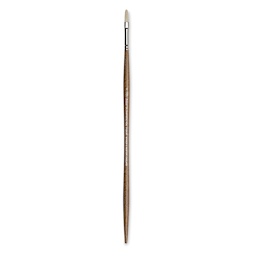 Winsor & Newton Artists' Oil Synthetic Hog Brush - Filbert, Size 2, Long Handle (full length)